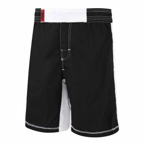 SS-MMAS2